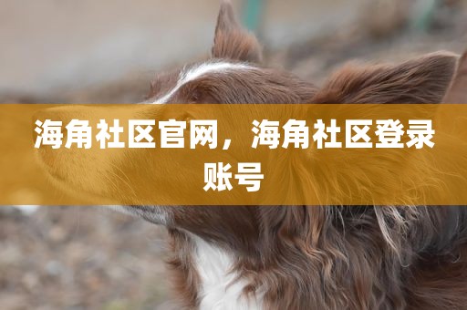 海角社区官网，海角社区登录账号