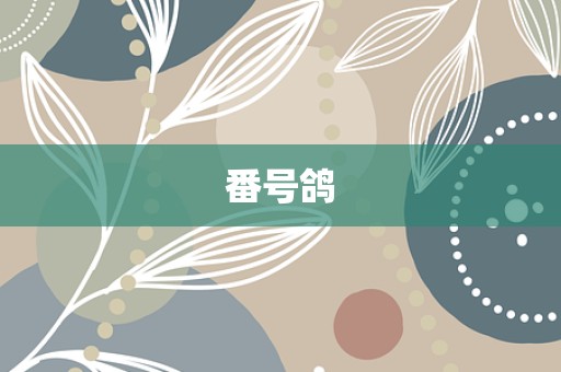 番号鸽