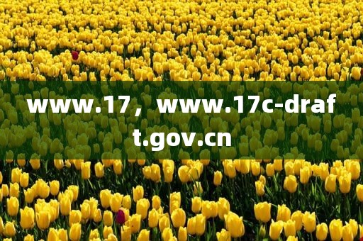 www.17，www.17c-draft.gov.cn