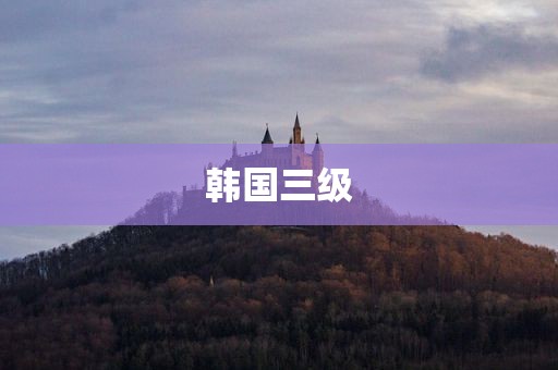 韩国三级