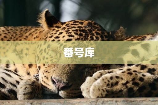 番号库