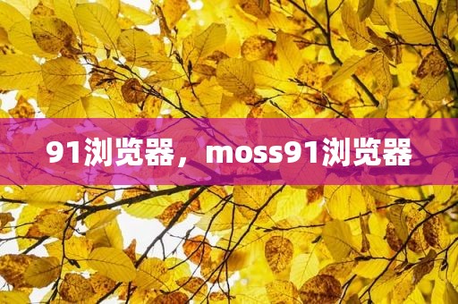 91浏览器，moss91浏览器