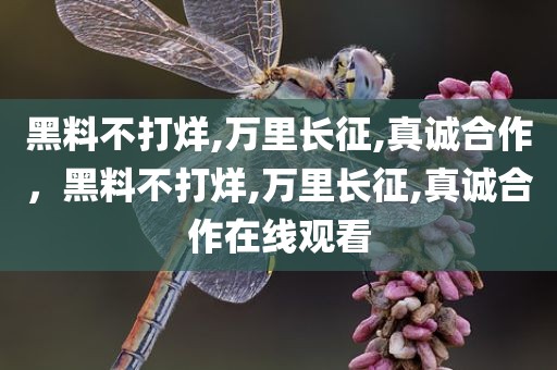 黑料不打烊,万里长征,真诚合作，黑料不打烊,万里长征,真诚合作在线观看