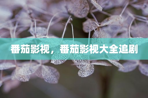 番茄影视，番茄影视大全追剧