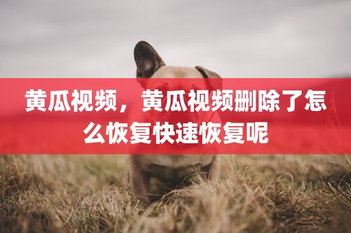 黄瓜视频，黄瓜视频删除了怎么恢复快速恢复呢