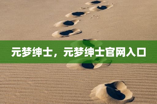 元梦绅士，元梦绅士官网入口