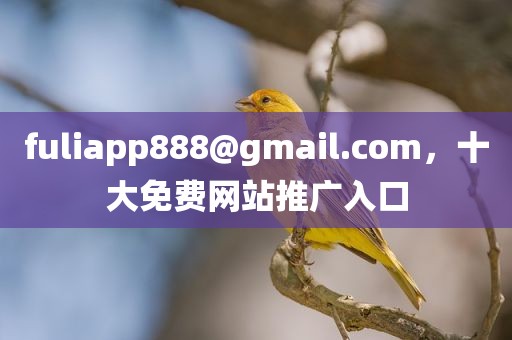 fuliapp888@gmail.com，十大免费网站推广入口