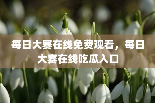 每日大赛在线免费观看，每日大赛在线吃瓜入口