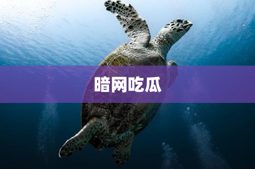 暗网吃瓜