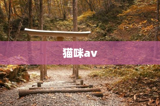 猫咪av