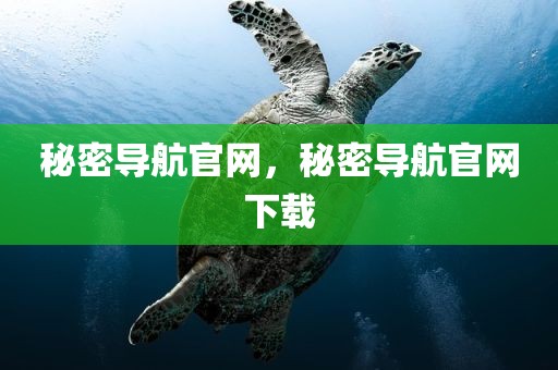 秘密导航官网，秘密导航官网下载