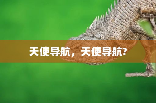 天使导航，天使导航?
