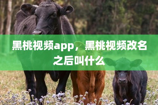 黑桃视频app，黑桃视频改名之后叫什么