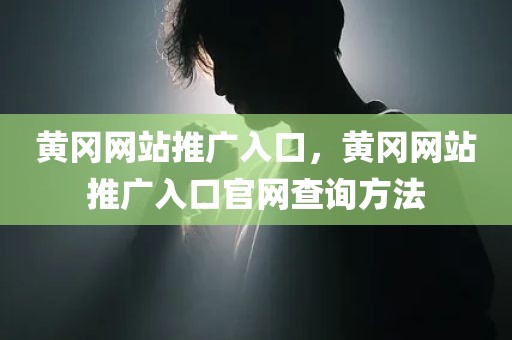 黄冈网站推广入口，黄冈网站推广入口官网查询方法