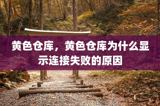 黄色仓库，黄色仓库为什么显示连接失败的原因