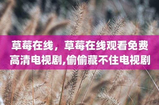 草莓在线，草莓在线观看免费高清电视剧,偷偷藏不住电视剧