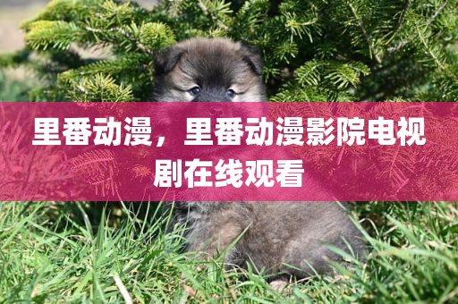 里番动漫，里番动漫影院电视剧在线观看