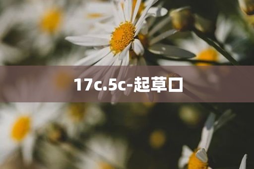 17c.5c-起草口