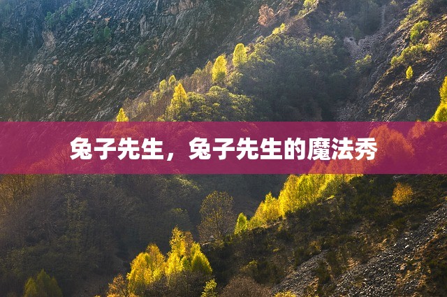 兔子先生，兔子先生的魔法秀