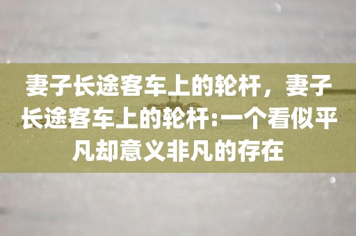 妻子长途客车上的轮杆，妻子长途客车上的轮杆:一个看似平凡却意义非凡的存在