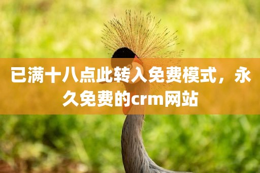已满十八点此转入免费模式，永久免费的crm网站