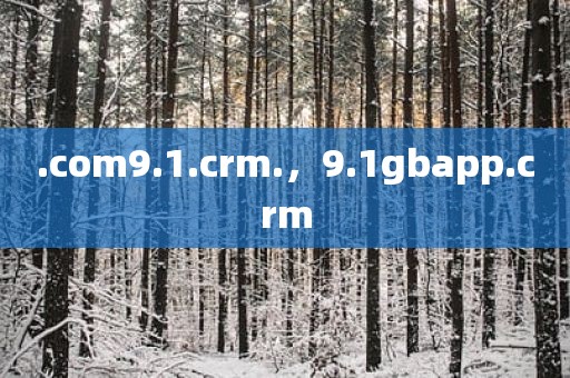 .com9.1.crm.，9.1gbapp.crm