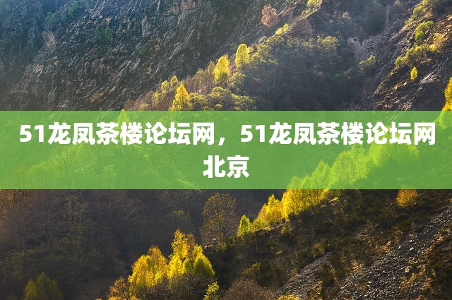 51龙凤茶楼论坛网，51龙凤茶楼论坛网北京