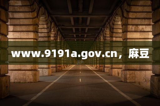 www.9191a.gov.cn，麻豆