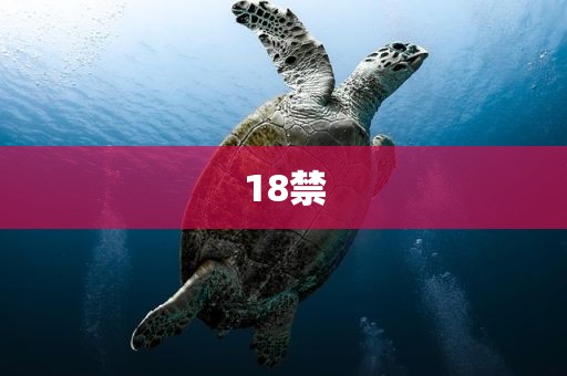 18禁
