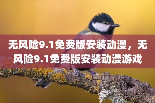 无风险9.1免费版安装动漫，无风险9.1免费版安装动漫游戏