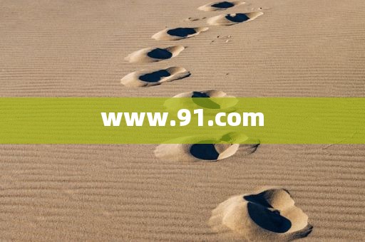 www.91.com