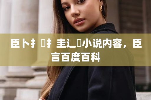 臣卜扌喿扌圭辶畐小说内容，臣言百度百科