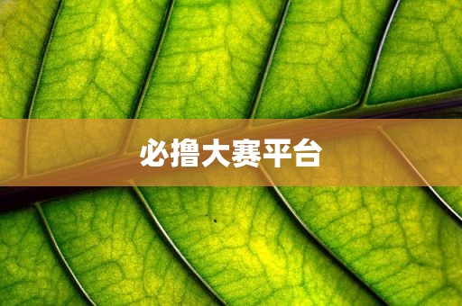 必撸大赛平台