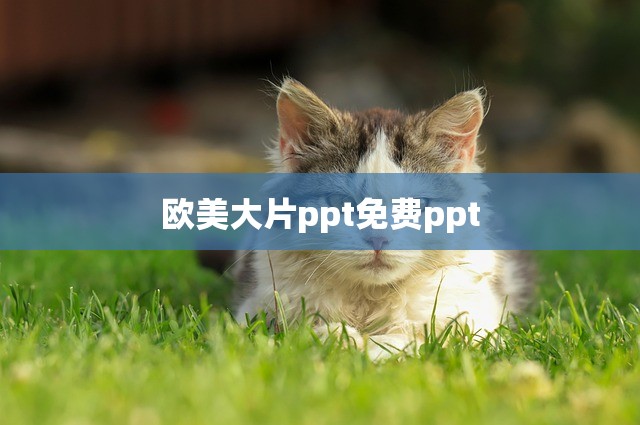 欧美大片ppt免费ppt