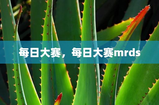 每日大赛，每日大赛mrds