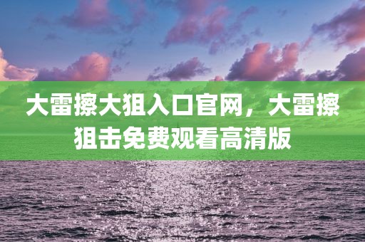 大雷擦大狙入口官网，大雷擦狙击免费观看高清版
