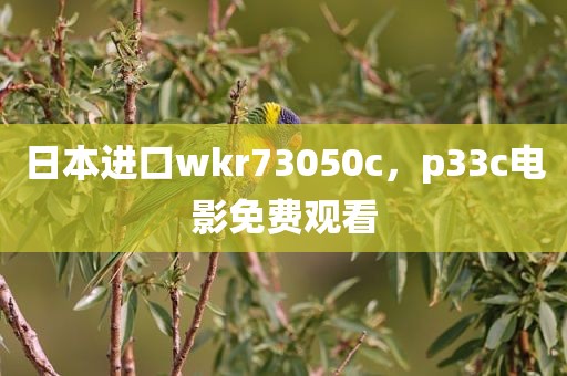 日本进口wkr73050c，p33c电影免费观看