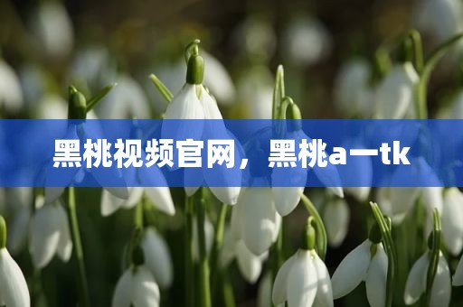 黑桃视频官网，黑桃a一tk