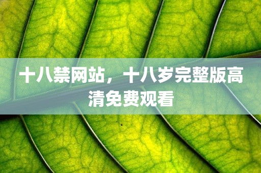 十八禁网站，十八岁完整版高清免费观看