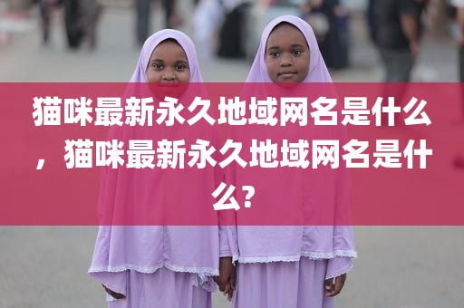猫咪最新永久地域网名是什么，猫咪最新永久地域网名是什么?