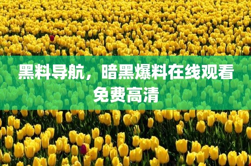 黑料导航，暗黑爆料在线观看免费高清