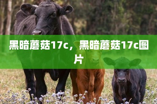 黑暗蘑菇17c，黑暗蘑菇17c图片