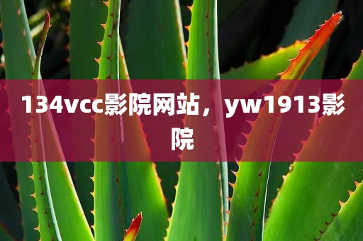 134vcc影院网站，yw1913影院