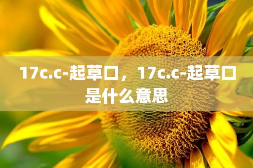 17c.c-起草口，17c.c-起草口是什么意思
