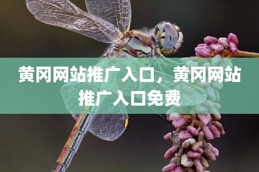 黄冈网站推广入口，黄冈网站推广入口免费