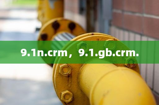 9.1n.crm，9.1.gb.crm.