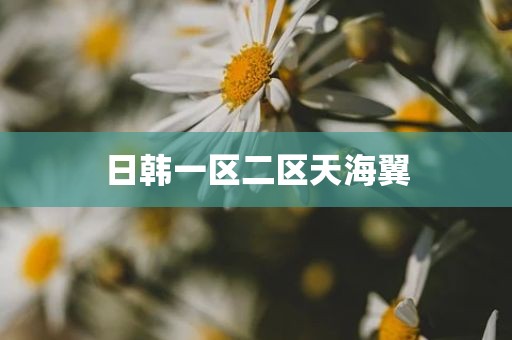 日韩一区二区天海翼