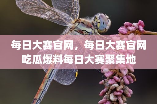 每日大赛官网，每日大赛官网吃瓜爆料每日大赛聚集地