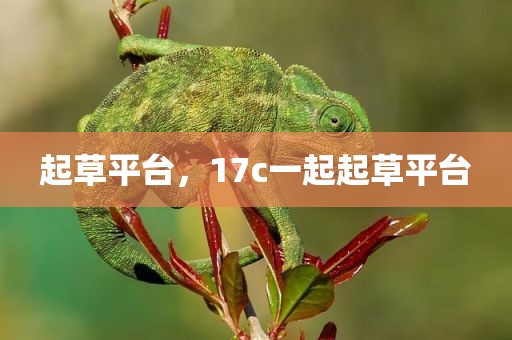 起草平台，17c一起起草平台