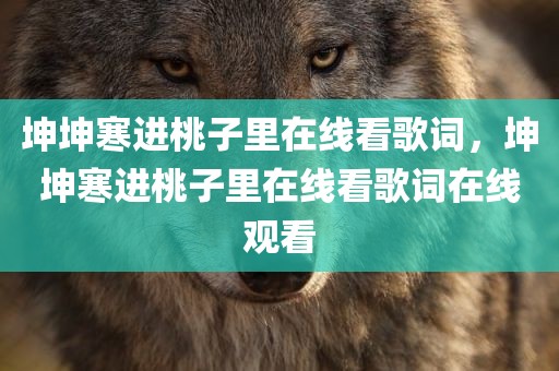 坤坤寒进桃子里在线看歌词，坤坤寒进桃子里在线看歌词在线观看